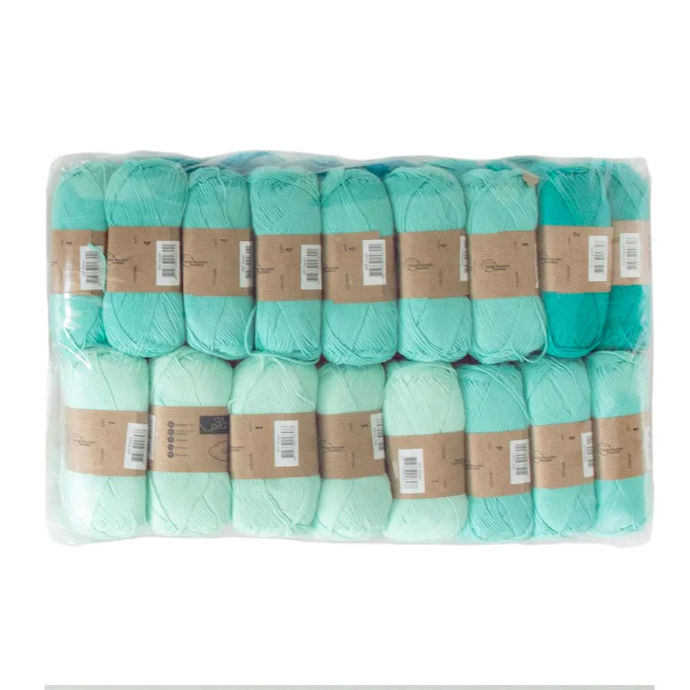 PREORDER Scheepjes Universe in Bloom CAL Crochet Kit – Cotton Create GALAXY Edition