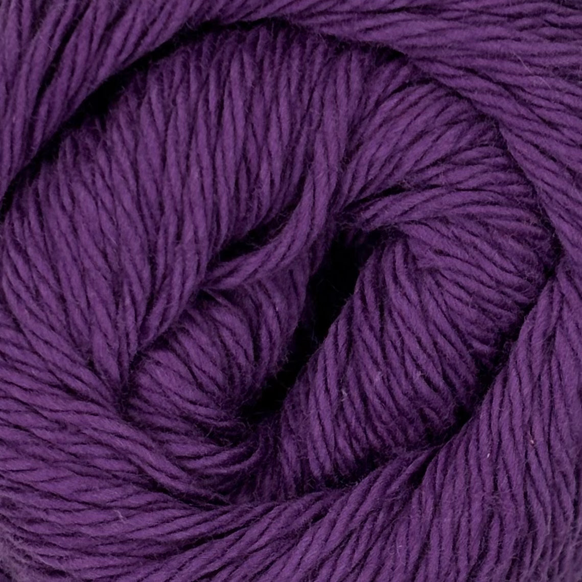 Fiddlesticks Finch