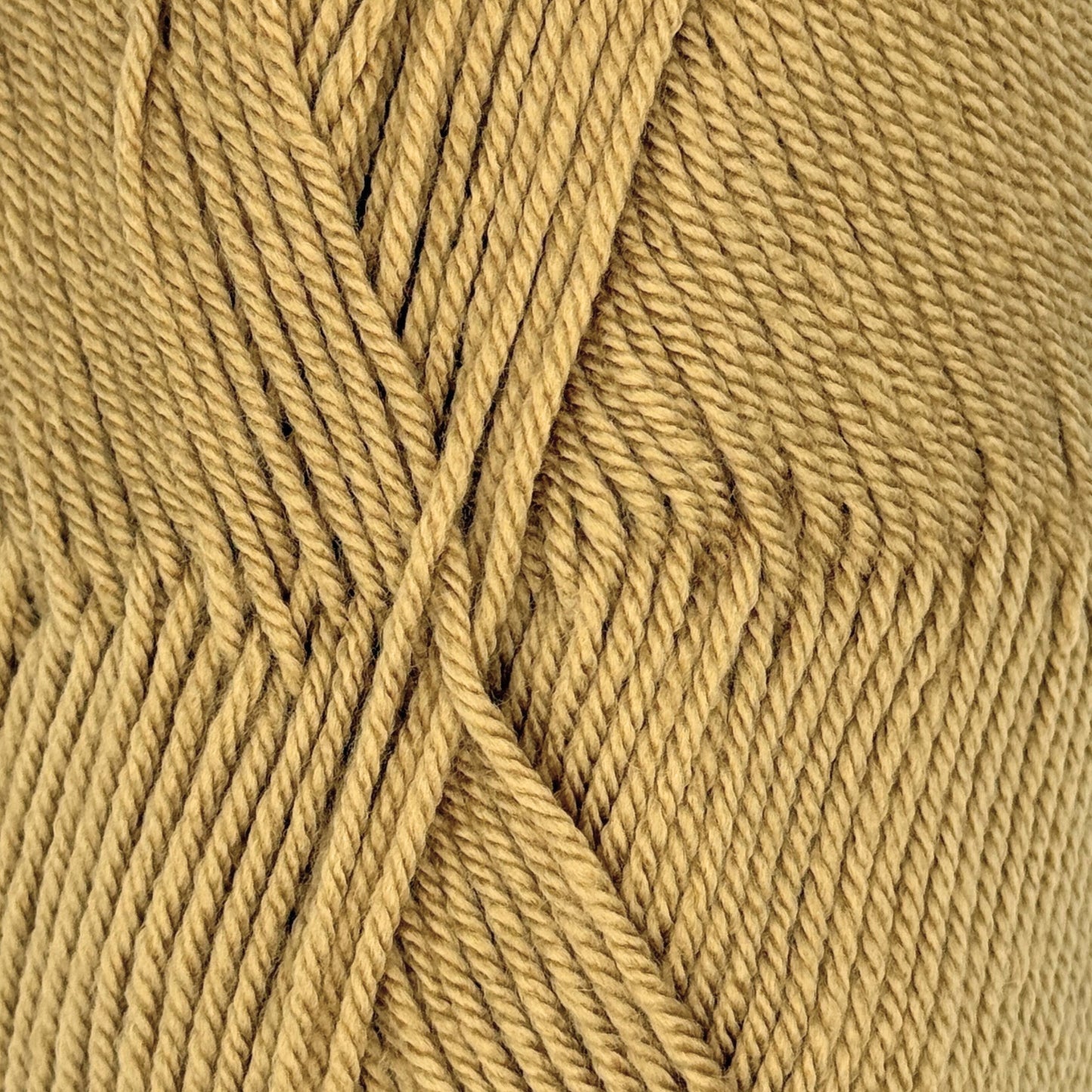 Fiddlesticks Superb 8